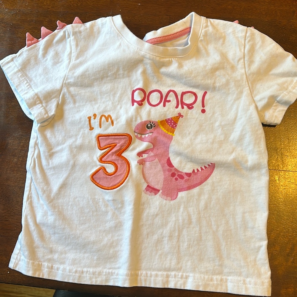 Three-Rex girls birthday bundle shirt and decorations
